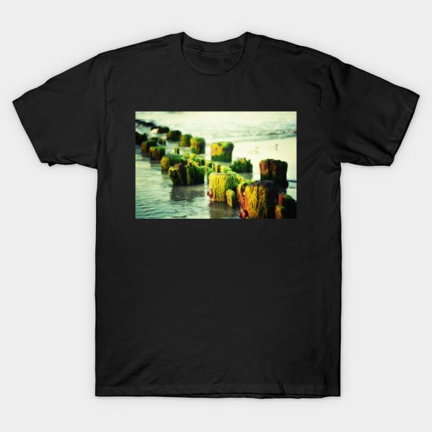 Ocean Ruins T-Shirt by JimDeFazioPhotography